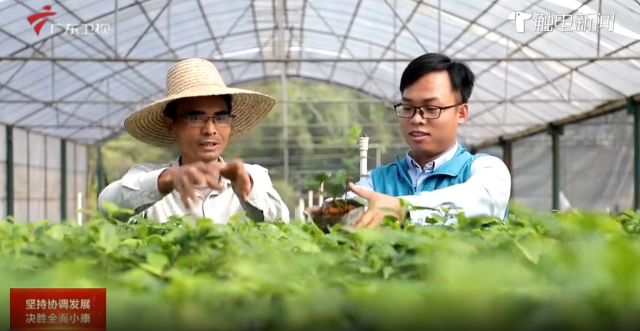 f68d4c56c433e98eb260ef3cf538c82c.png 图片1.png