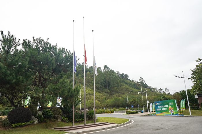 434422a47d10f08bd737207f78b29980.jpg DSC06430.jpg