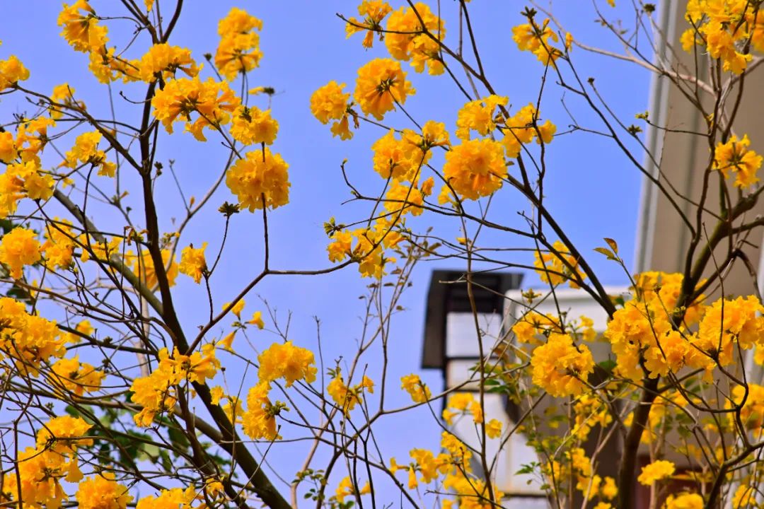 c0d369881a10b49087d302ee5d7e5860.jpg c0d369881a10b49087d302ee5d7e5860.jpg