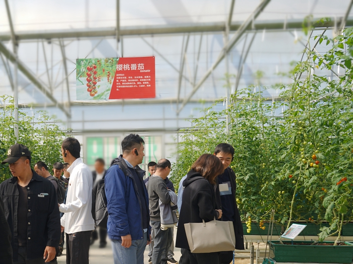 b22aec07363bcf13b267c9b3f25feed3.jpg 700 (5).jpg